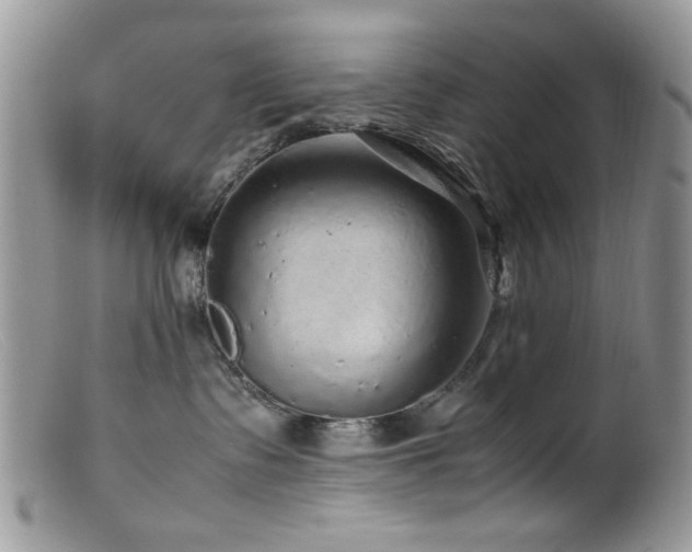 X0000099490335200805151413