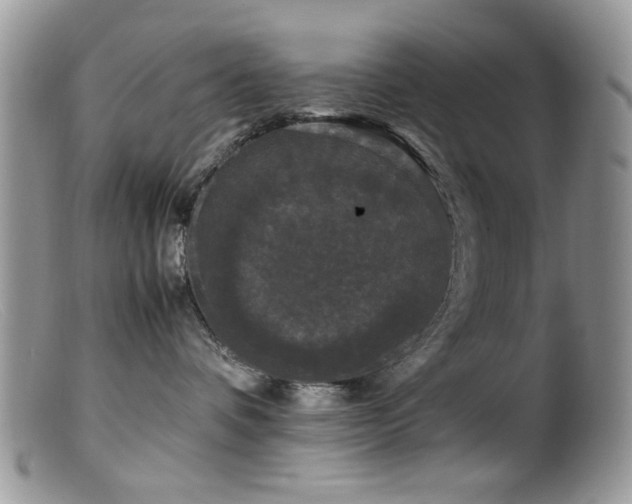 X0000099490336200805151413