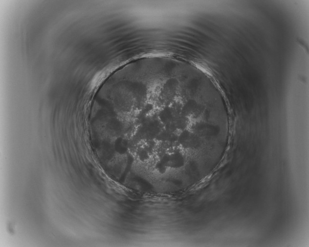 X0000099490337200805151412