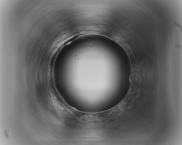 X0000099490338200805151412