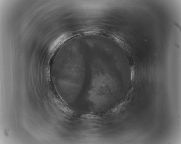 X0000099490339200805151412
