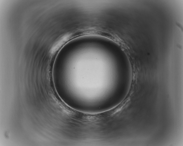 X0000099490341200805151412