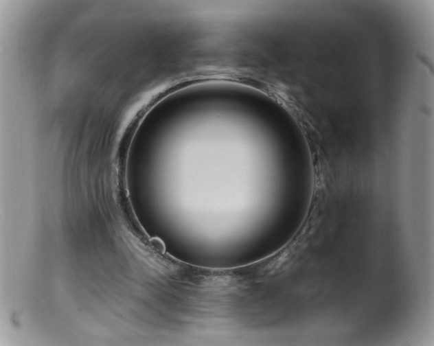 X0000099490342200805151412