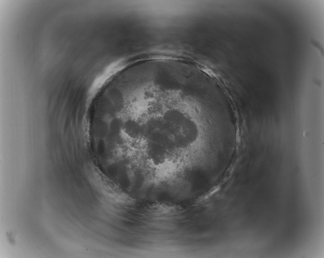 X0000099490343200805151412
