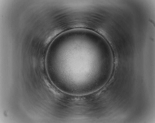 X0000099490345200805151412