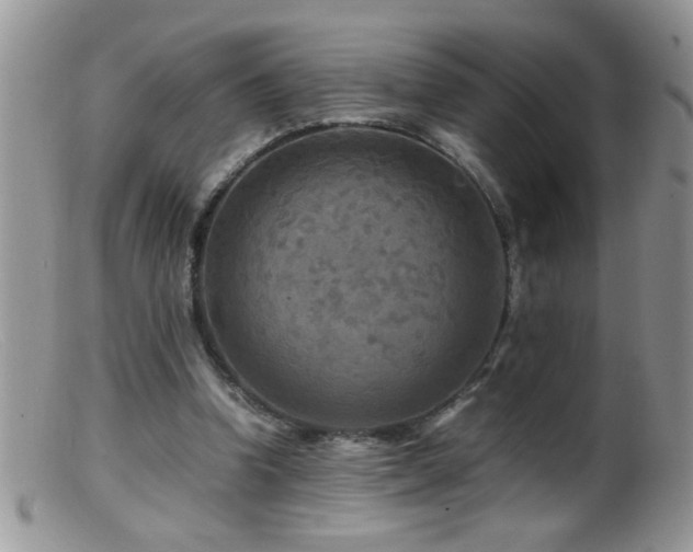 X0000099490346200805151412