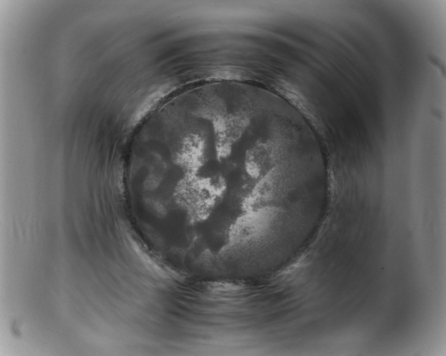 X0000099490347200805151412