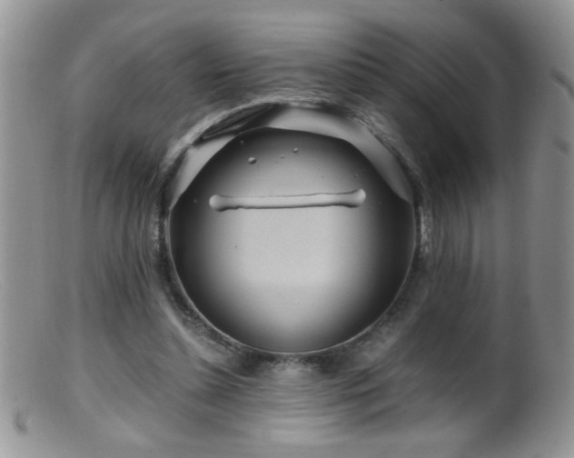 X0000099490348200805151412