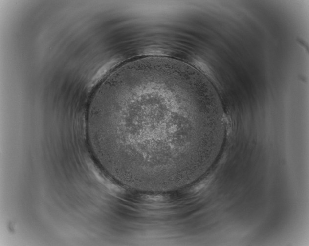 X0000099490349200805151412