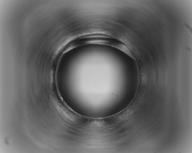 X0000099490350200805151412