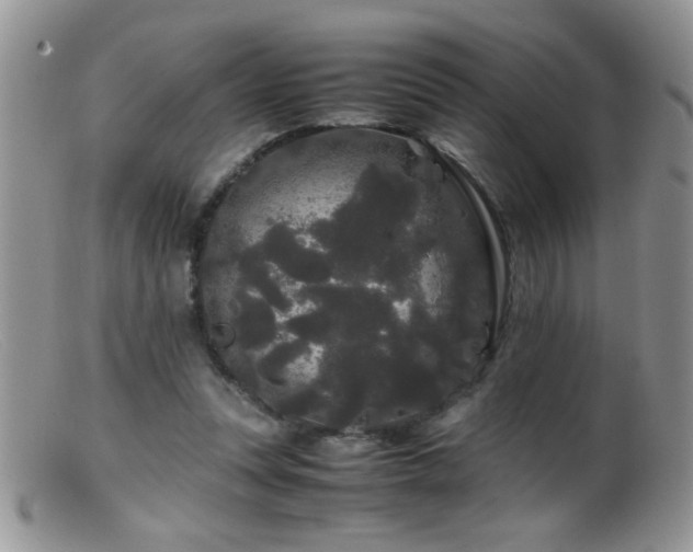 X0000099490351200805151412