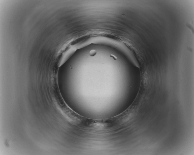 X0000099490352200805151412