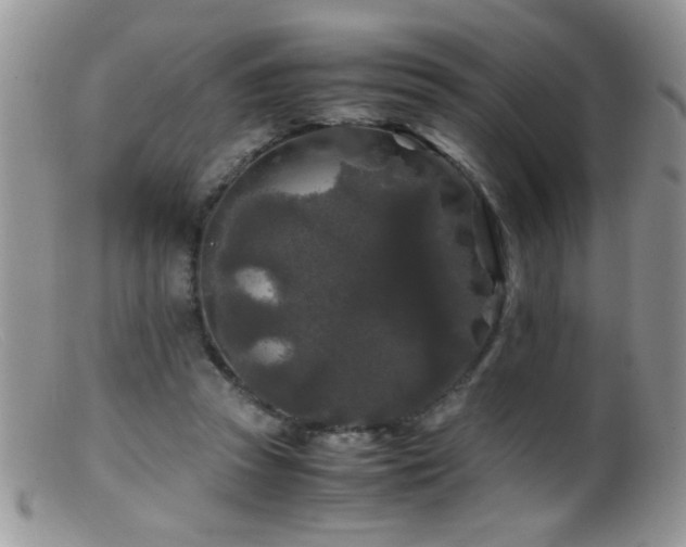 X0000099490353200805151412