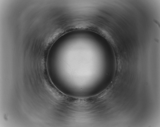 X0000099490354200805151412