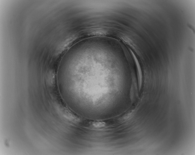 X0000099490355200805151412