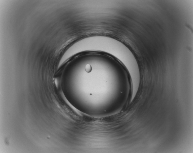 X0000099490356200805151412