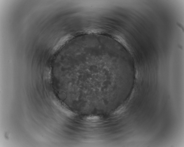 X0000099490357200805151412