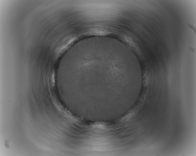 X0000099490358200805151412