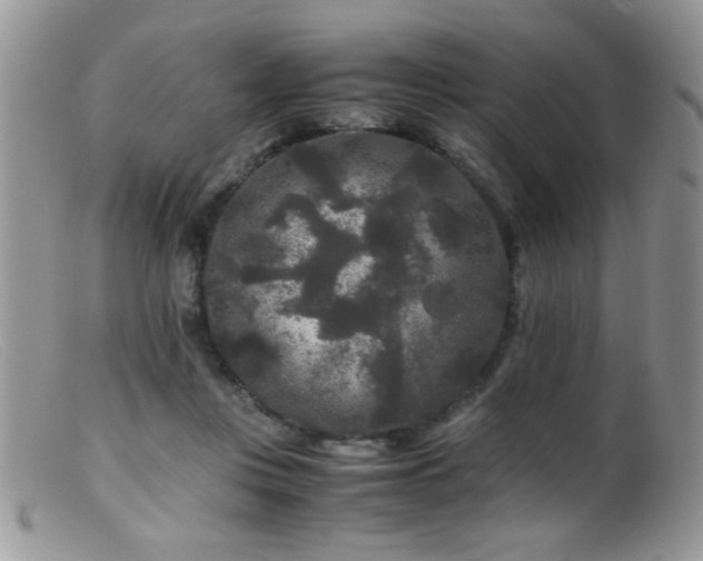 X0000099490359200805151412