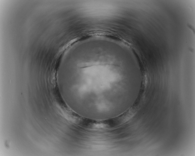 X0000099490360200805151412