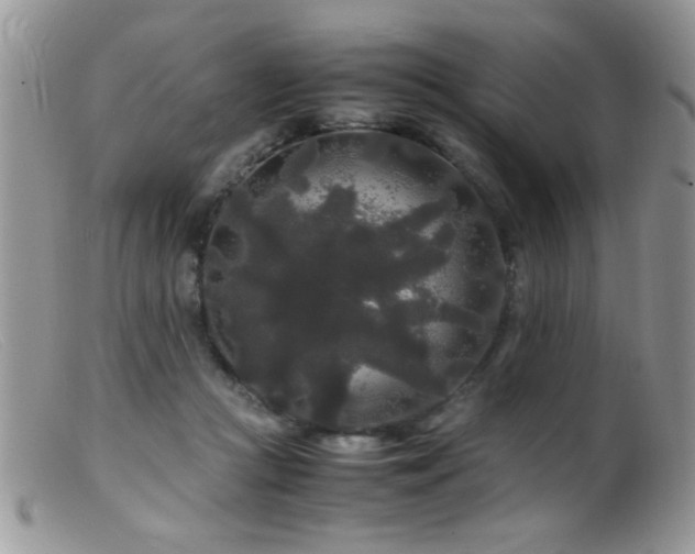 X0000099490361200805151412