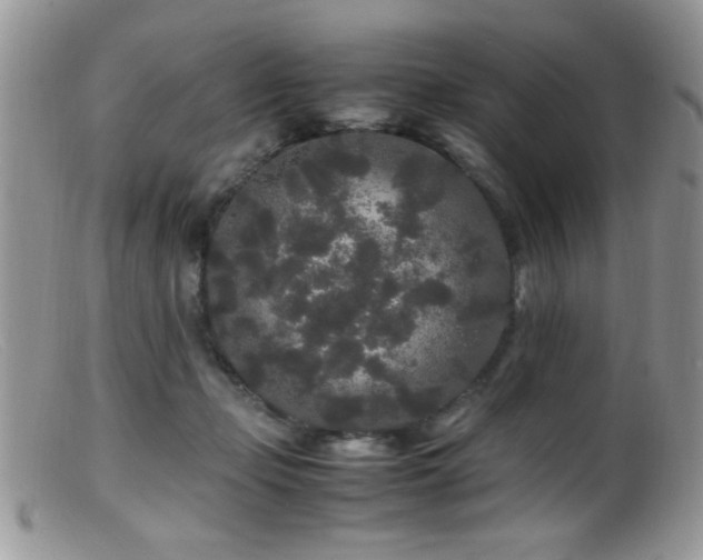 X0000099490365200805151412