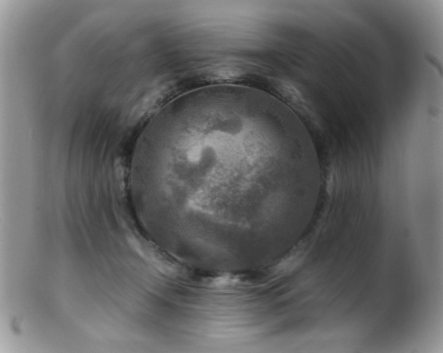 X0000099490366200805151413