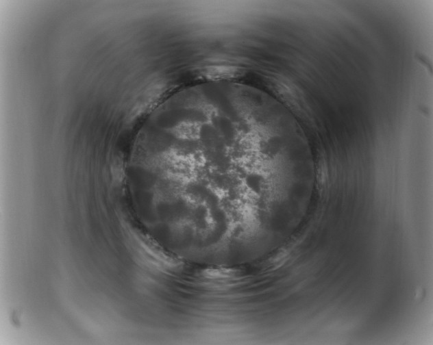 X0000099490367200805151413