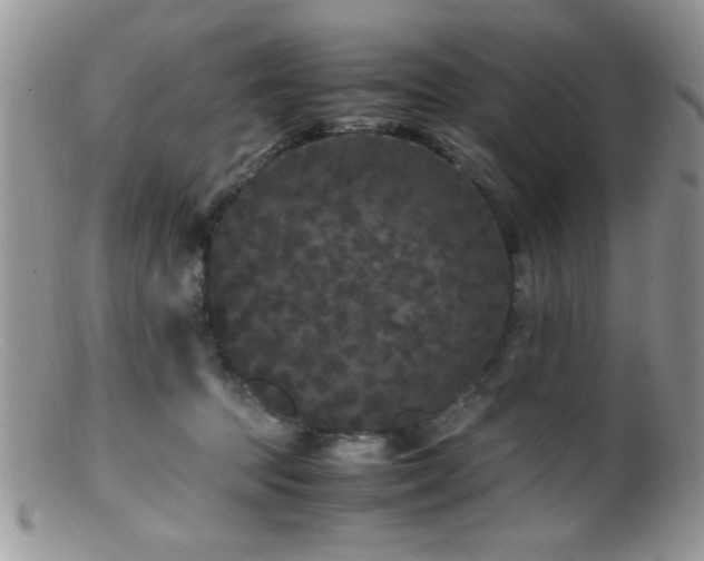 X0000099490369200805151413