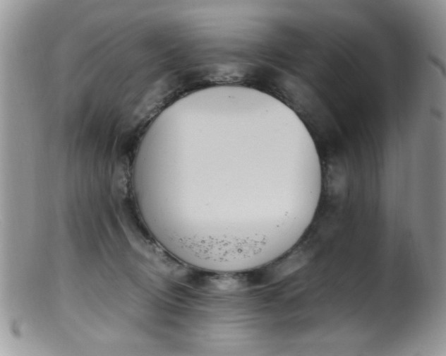 X0000099490370200805151413