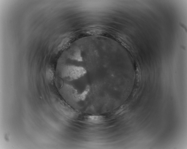 X0000099490371200805151413