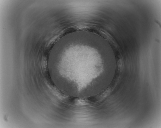 X0000099490372200805151413