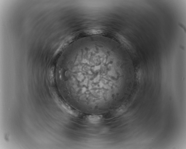 X0000099490373200805151413