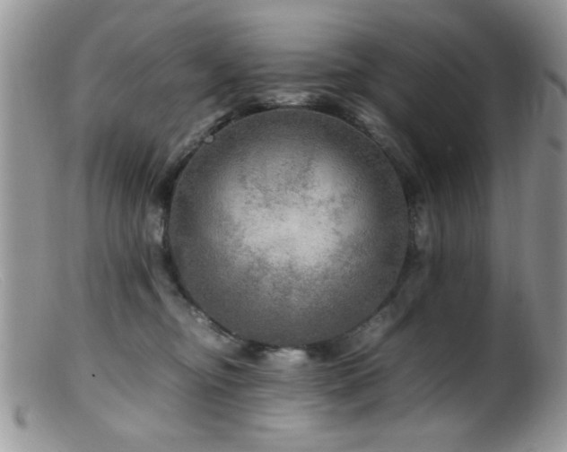 X0000099490374200805151413