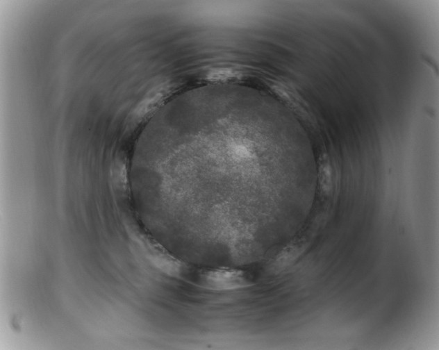 X0000099490375200805151413