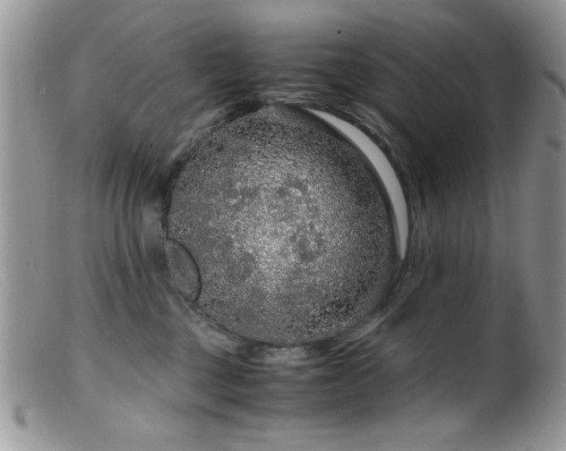 X0000099490377200805151413
