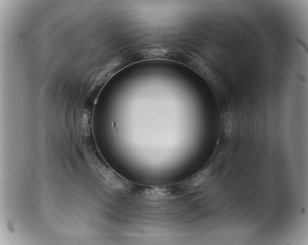 X0000099490378200805151413