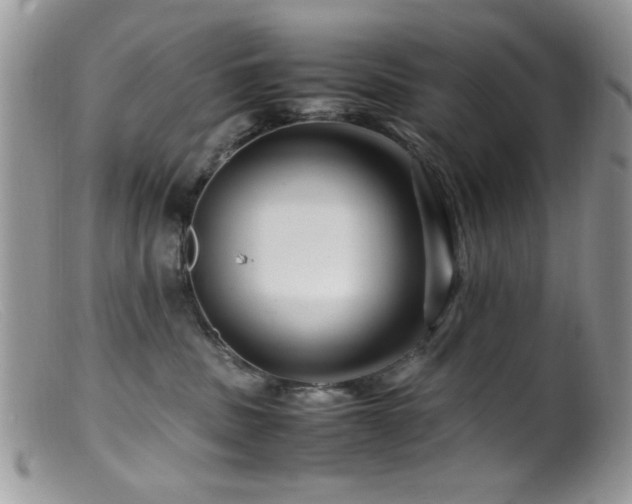 X0000099490379200805151413