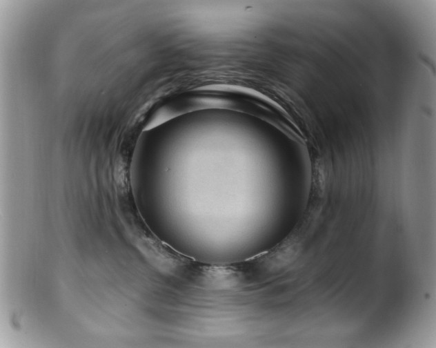 X0000099490380200805151413