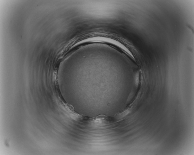 X0000099490382200805151413