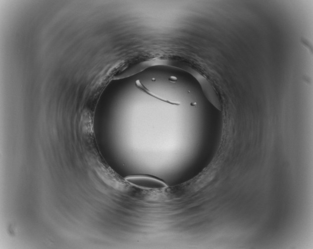 X0000099490384200805151413