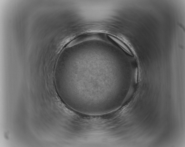 X0000099490385200805151412