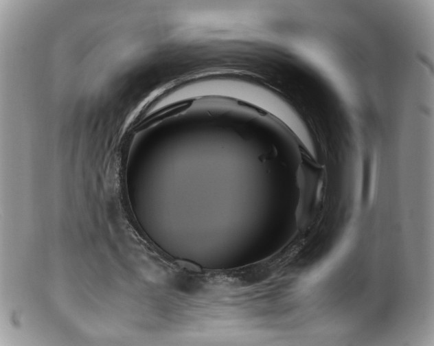 X0000099490387200805151412