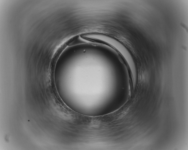 X0000099490388200805151412