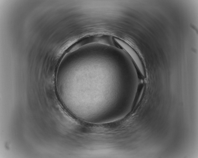 X0000099490389200805151412