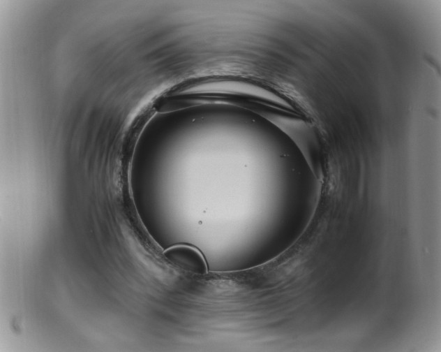 X0000099490392200805151412