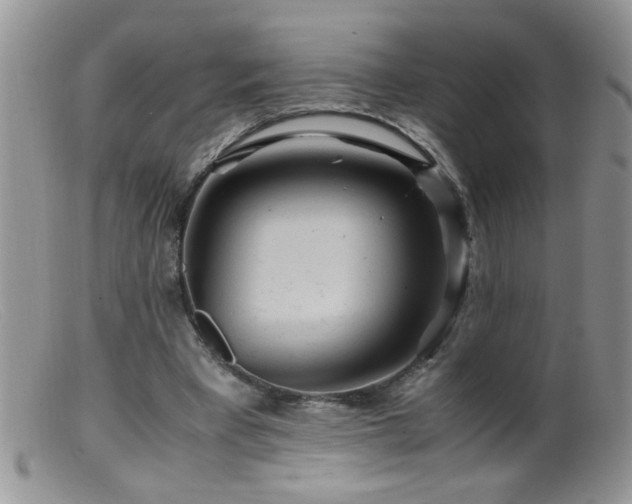 X0000099490393200805151412