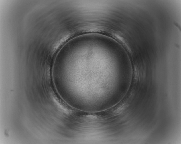 X0000099490394200805151412