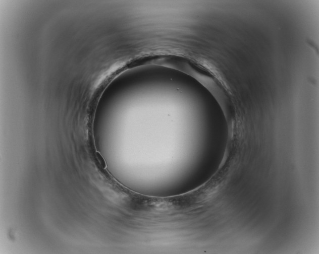 X0000099490395200805151412
