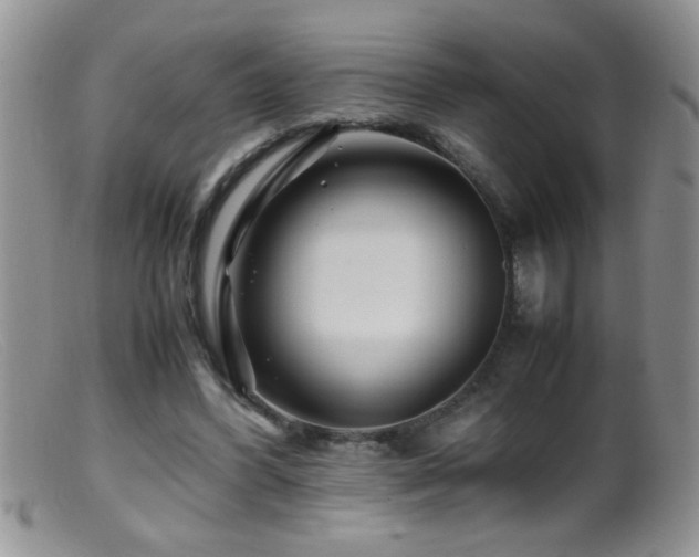 X0000099490396200805151412